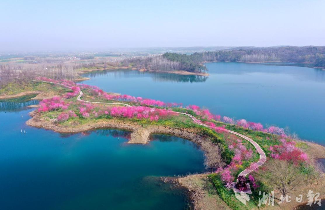 春风春雨春花盛开,春风莺飞草长陌上花开