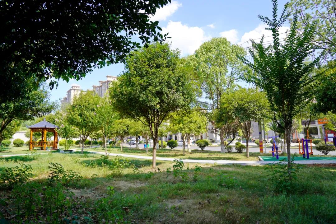 宁乡创文明城市,宁乡市创建文明城市