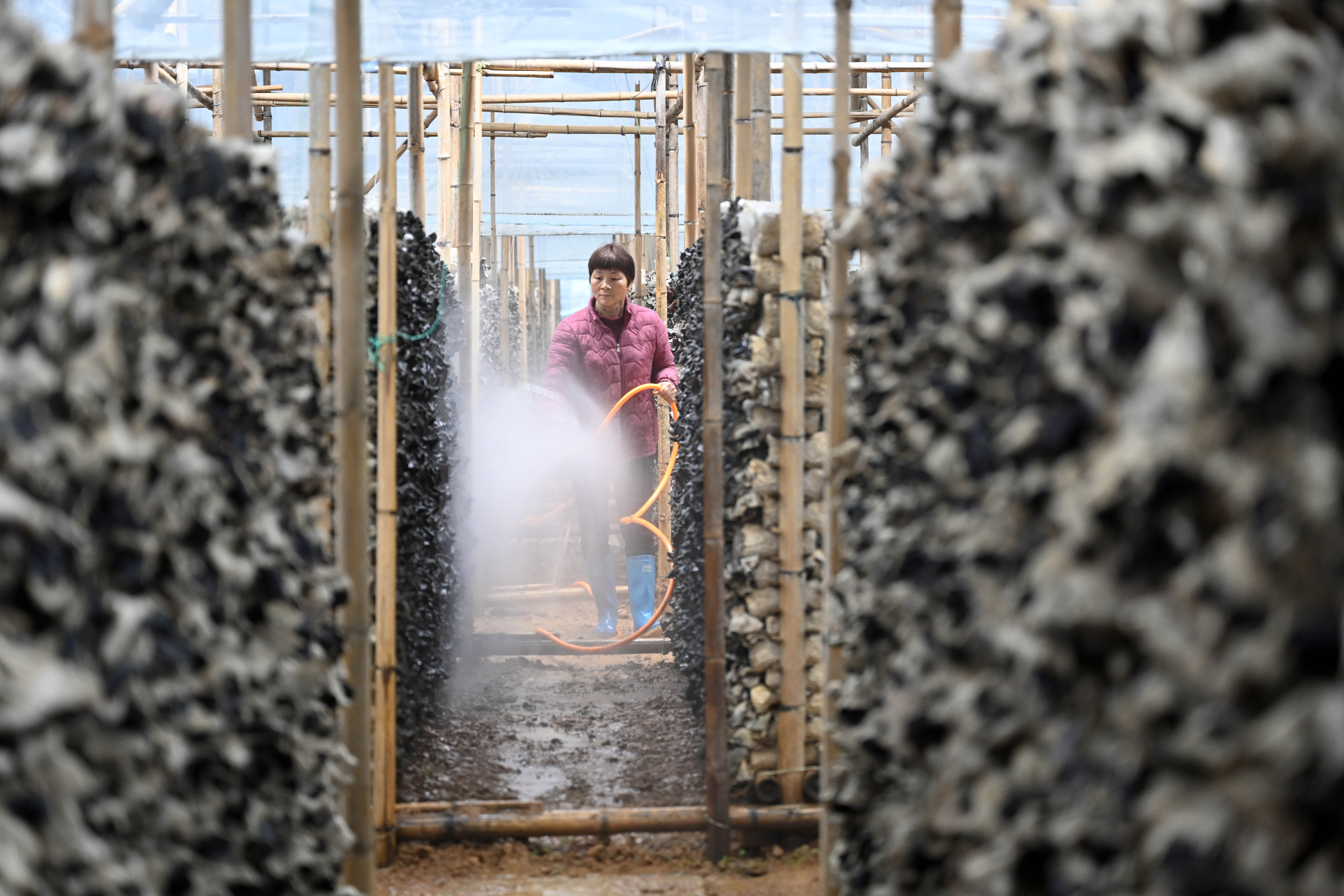 柳南区螺蛳粉产业发展生态圈,柳州螺蛳粉入选乡村振兴