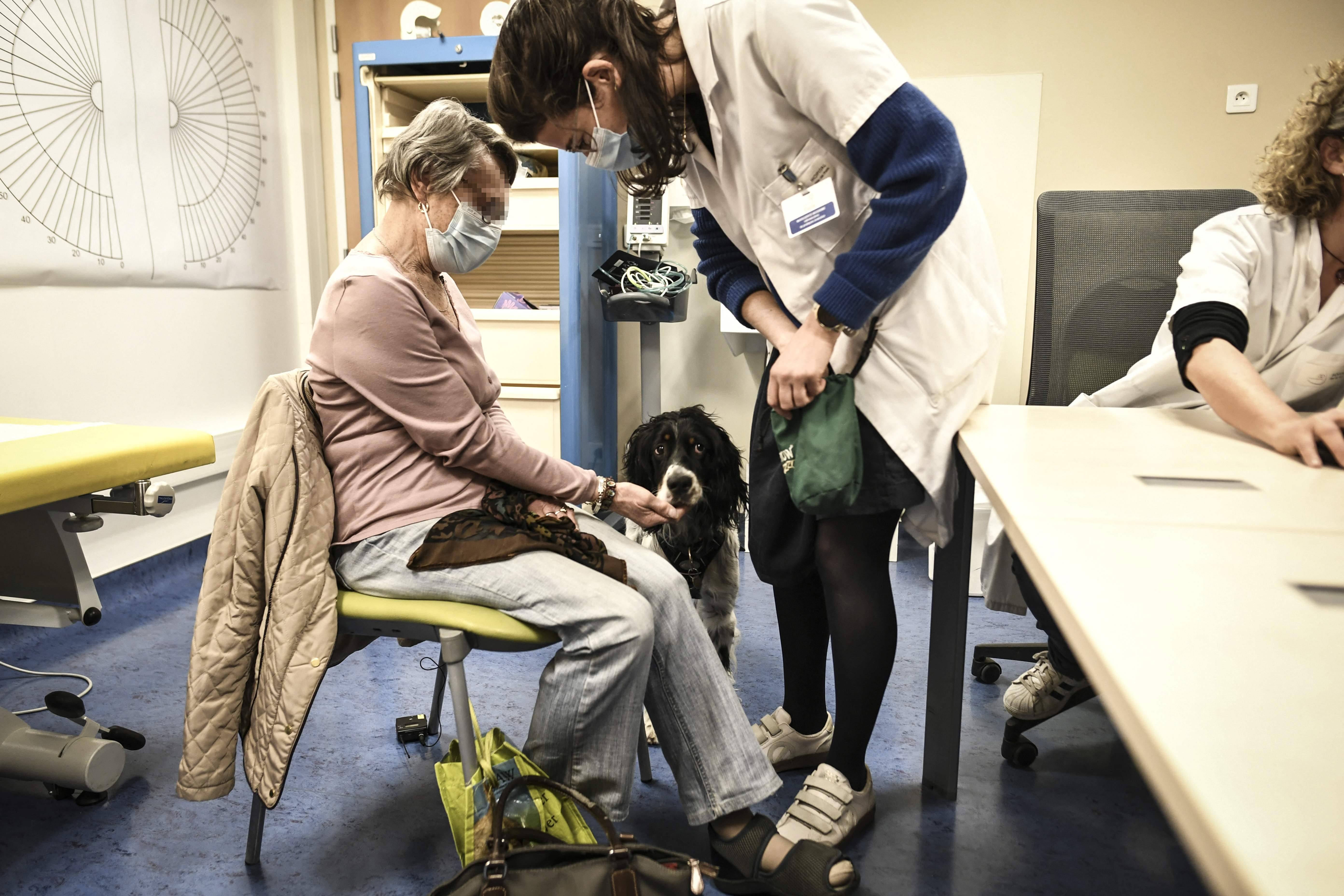 （外代一线）巴黎：帮助癌症患者的狗狗“医生”