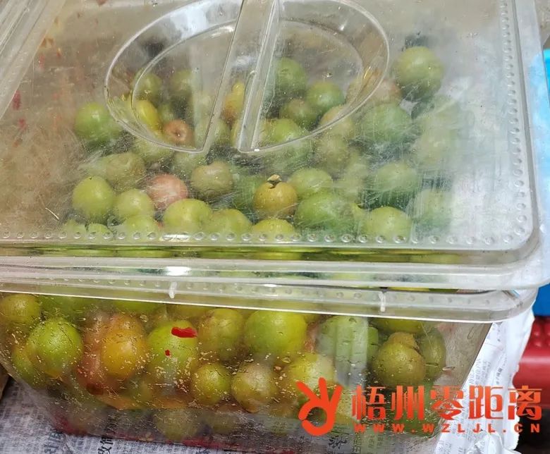 李子多久上市,李子上市时间