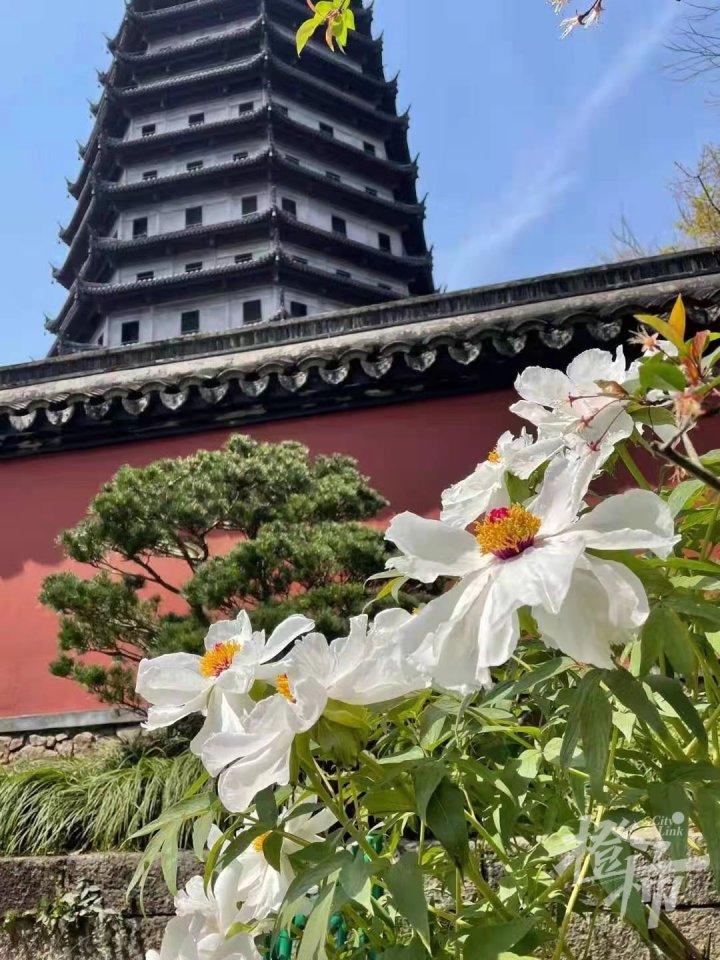 西湖景区晚上游玩攻略,西湖景区一日游攻略