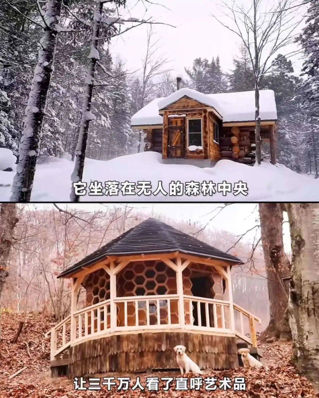 抖音男性减速带,男生抖音减速带原视频