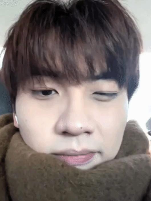 少年感拉满!内娱新鲜宝藏小生大盘点,这就是养成系的快乐?