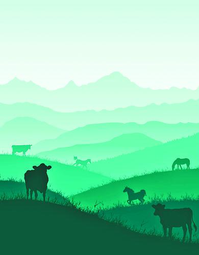 甘南的美食糌粑怎么读,甘南石磨糌粑