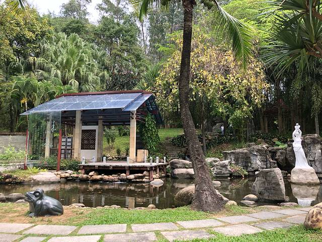 香港澳门旅游攻略5天4晚直播间,香港澳门六日游价格表四月份