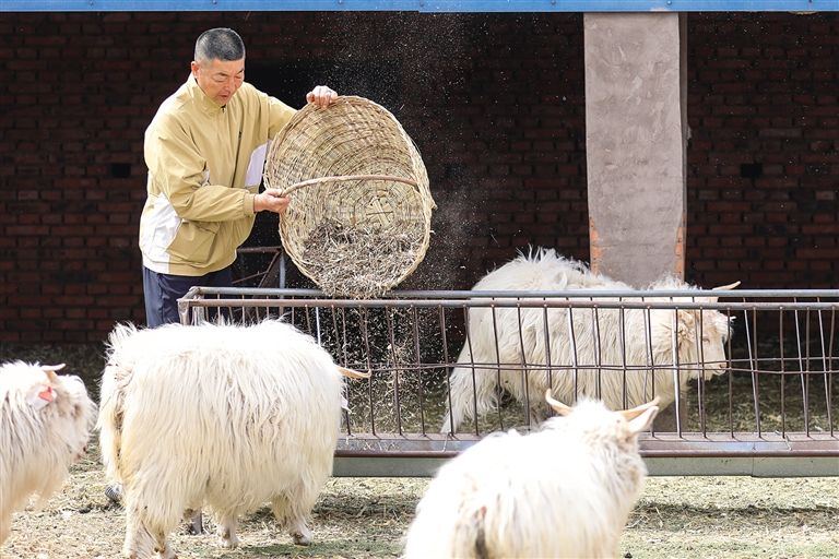 全力推动五大任务,推动各项任务有效实施