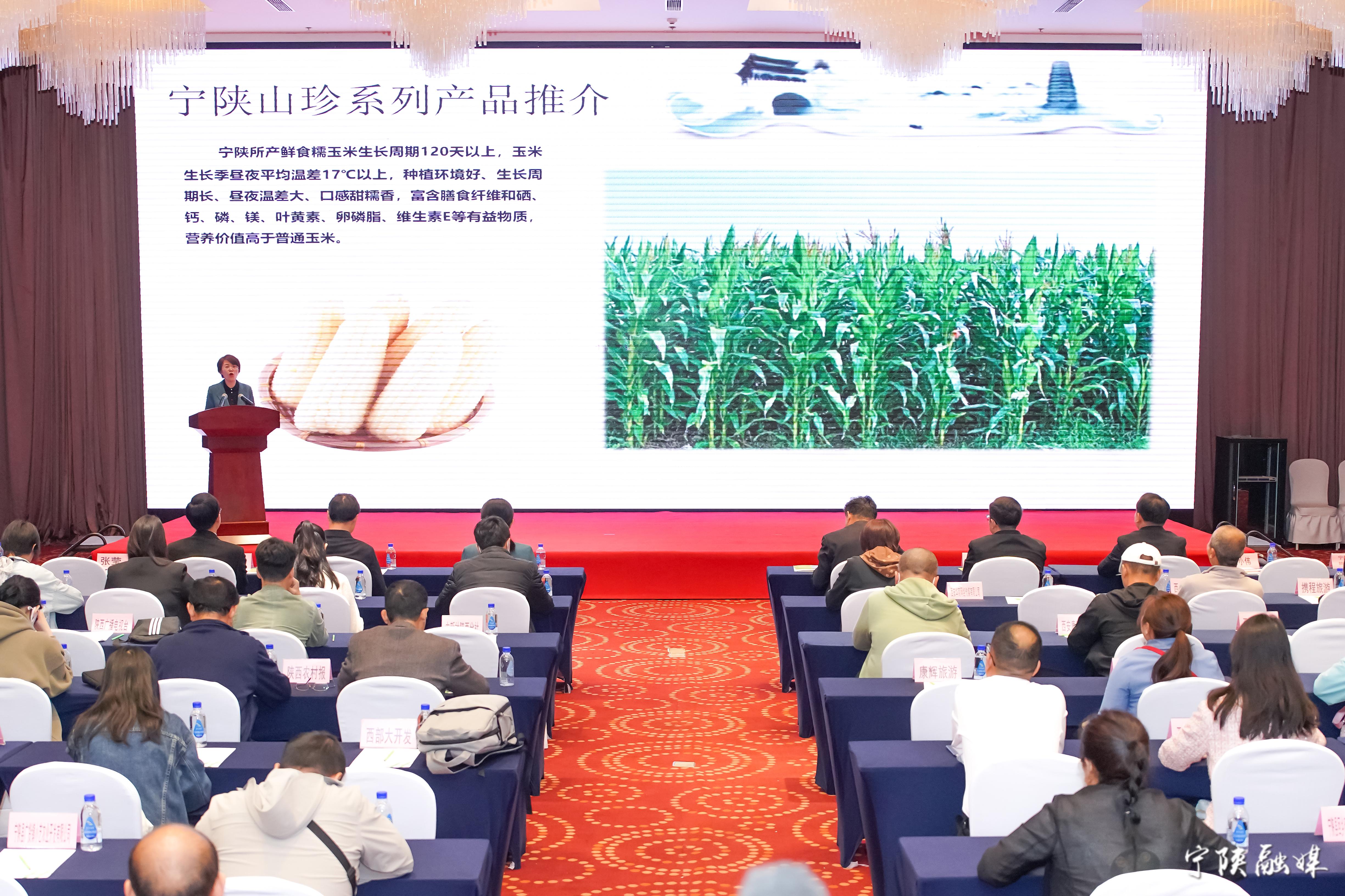 陕西宁陕大秦岭越野,第九届大秦岭宁陕山地越野挑战赛