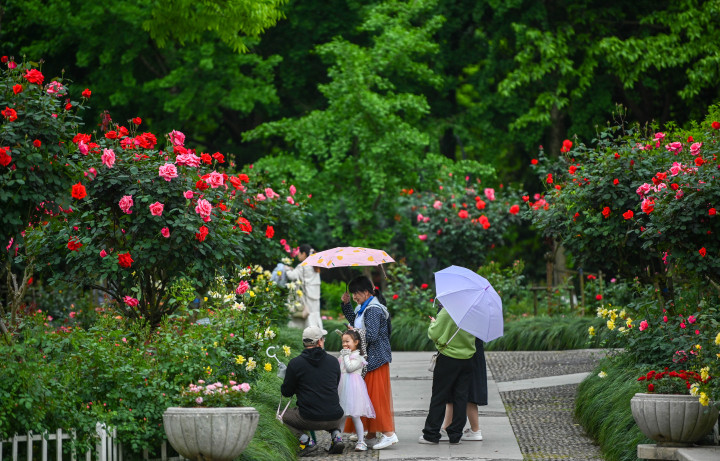 五一杭州车辆限行规定,杭州五一节假日今天限行吗