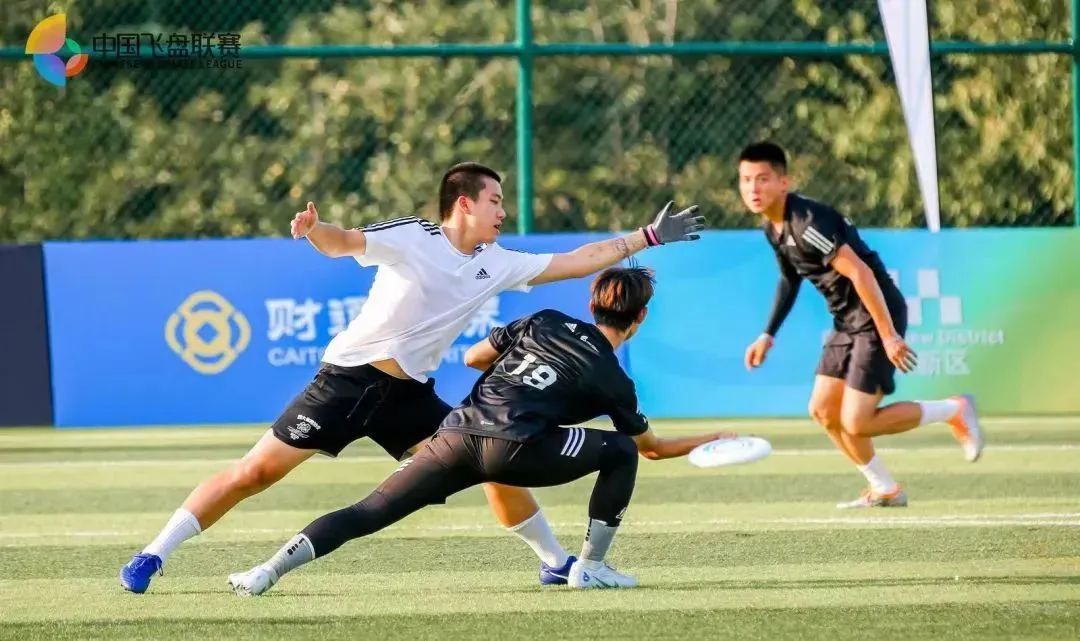 飞盘联赛直播,中国飞盘联赛直播