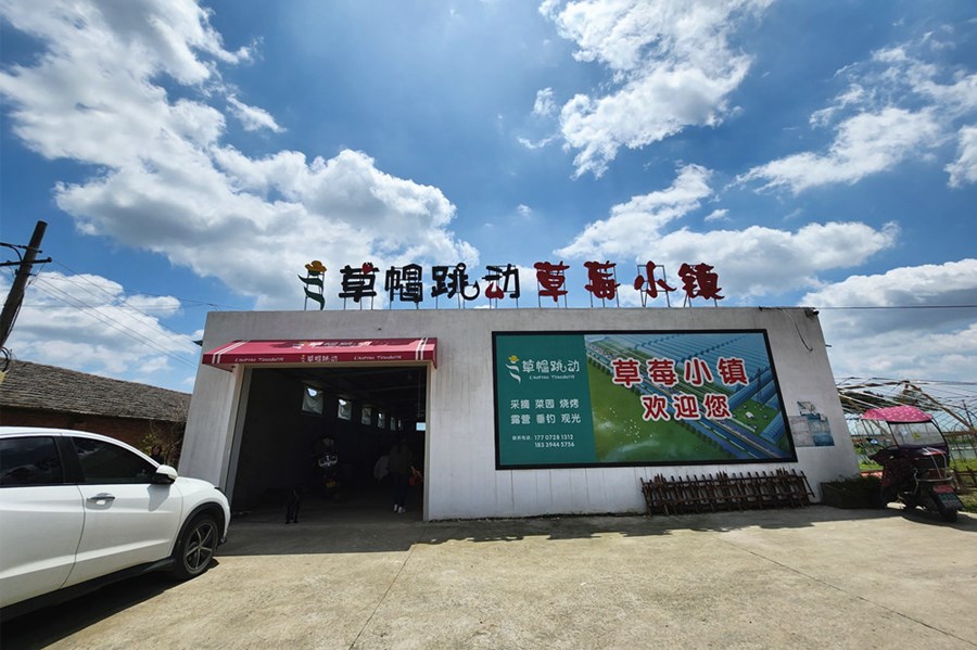 大学生返乡创业有秘笈,大学生回乡创业工作简介