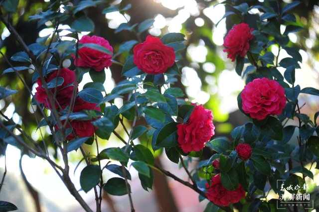 有一种云南的生活叫昆明,云南的昆明就是这么美