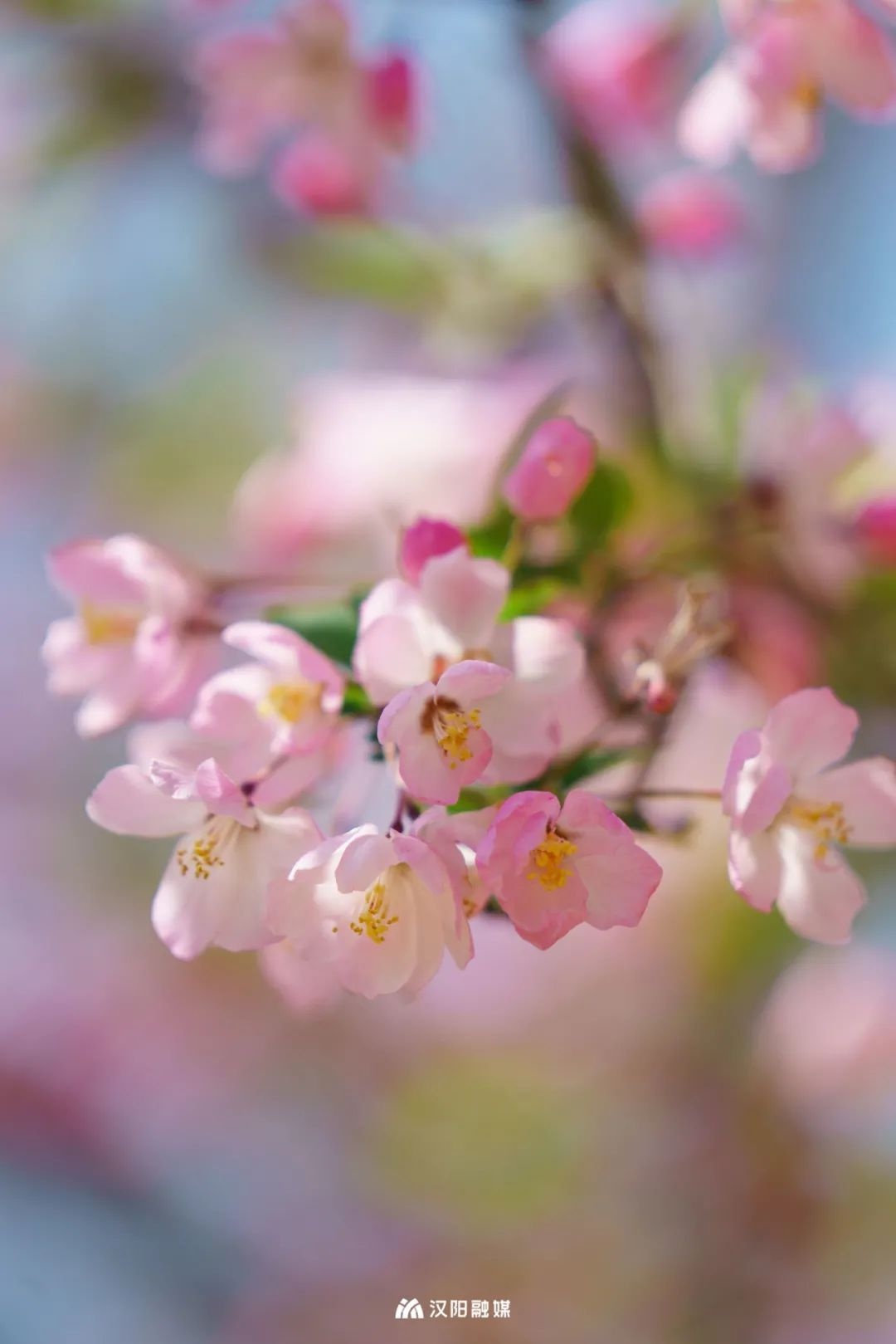 武汉旅游值得带的东西,武汉汉阳两日游最佳攻略