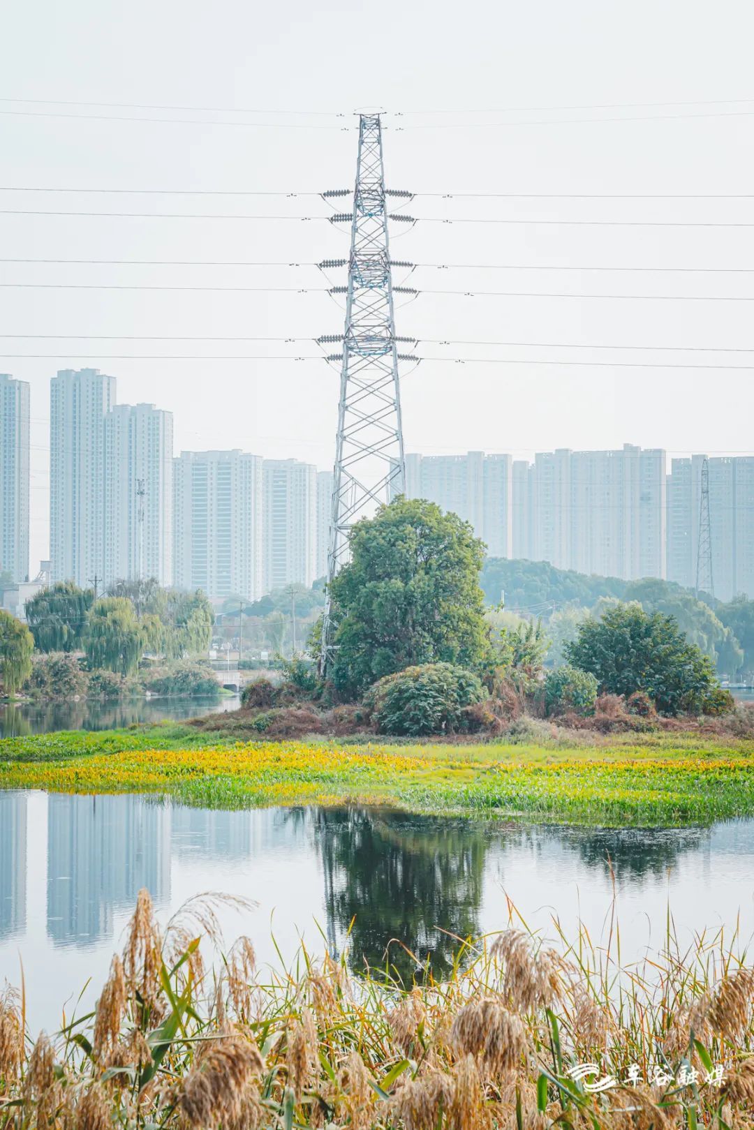 骑车打卡绿道,东湖绿道骑行享受闲暇时光