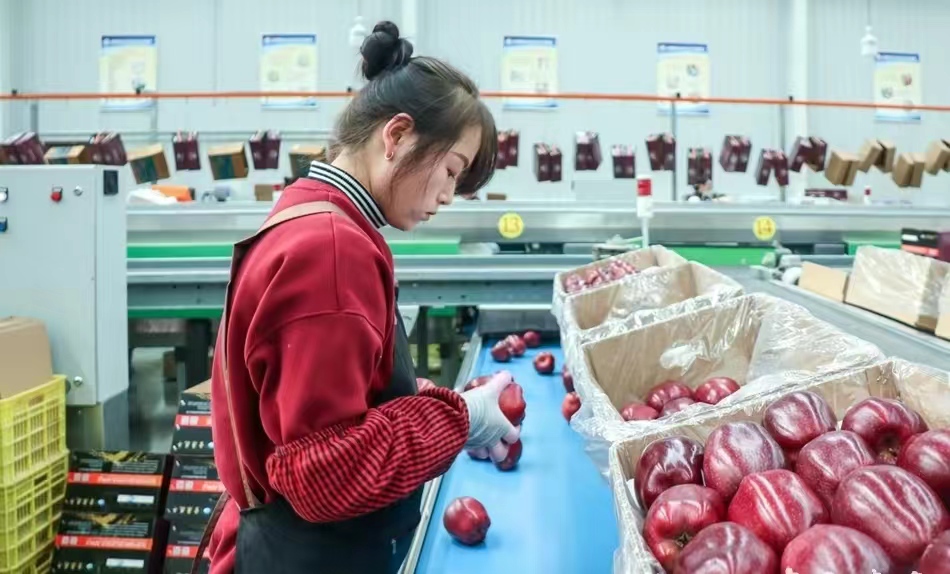 三十年在长三角成就了西北苹果的传奇——蔡二成和他的雪原牌苹果