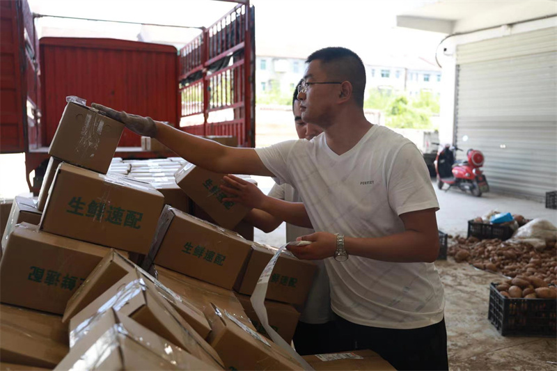 返乡新农人渐成乡村发展新引擎,归雁变头雁凝聚乡村振兴人才力量