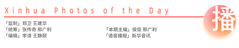 新华每日播报,新华每日播报5月15日