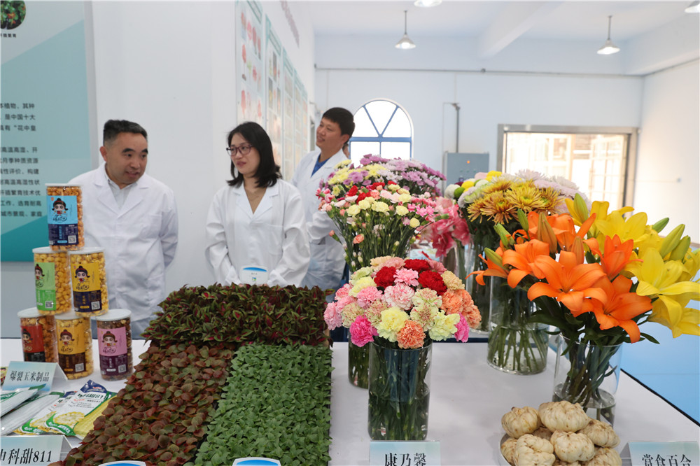 学习先进经验共谋协作发展丨云南省*党**政代表团赴上海考察学习，去了这些地方