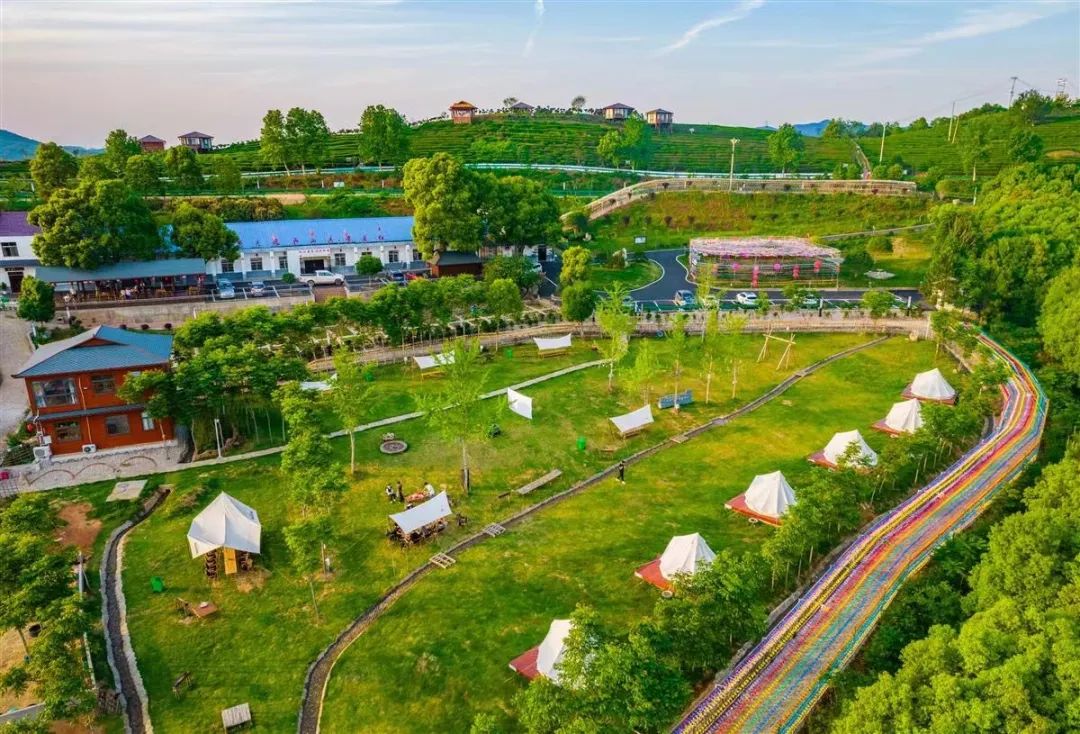 柏塘万亩茶园网红打卡地,孝昌县最好的茶园