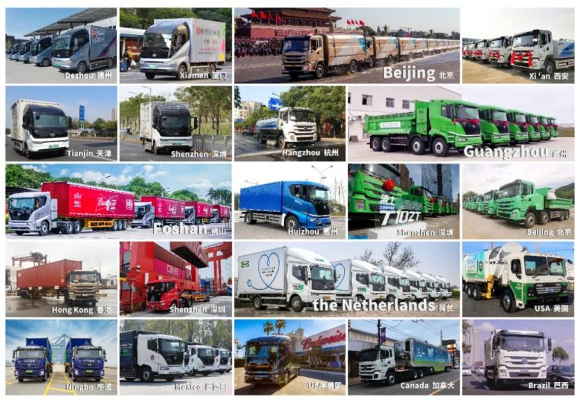 快鱼吃慢鱼,快鱼吃慢鱼完整视频