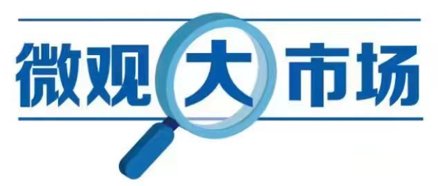 时尚便携旅行箱包,短途旅行箱包简约大方