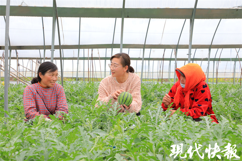 回乡创业扎根乡村,逃离贫困家乡又回乡创业