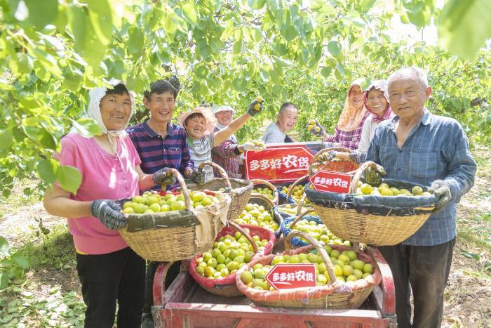 电商卖水果创业之路,农村创业水果电商怎么做