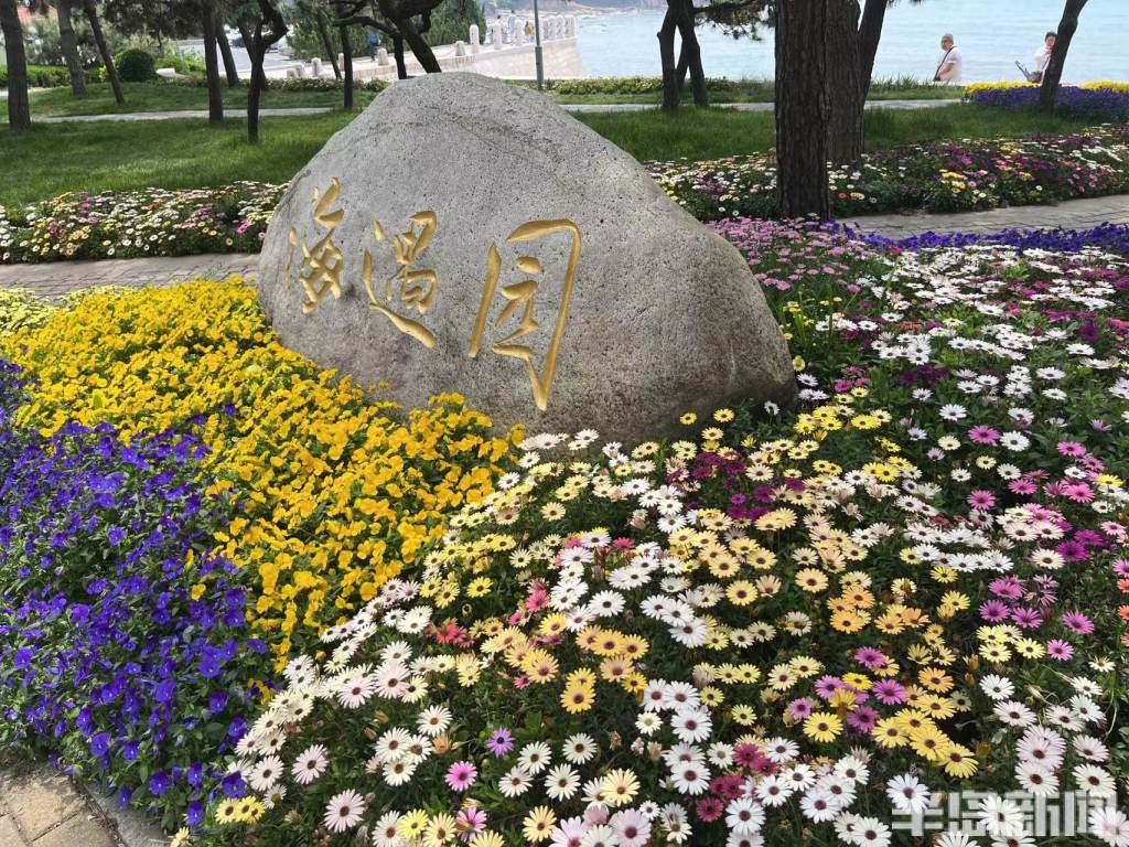 青岛口袋公园地址,青岛市市南区口袋公园