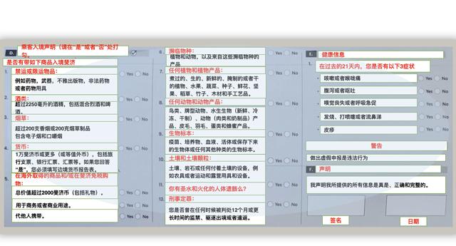 斐济南太平洋之旅,斐济之行游记