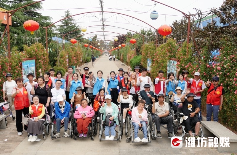 金宝乐园免费游戏项目,金宝乐园2023年夜场游玩攻略