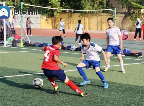 潍坊鲁能足球学校比赛,潍坊市体育运动学校足球赛事