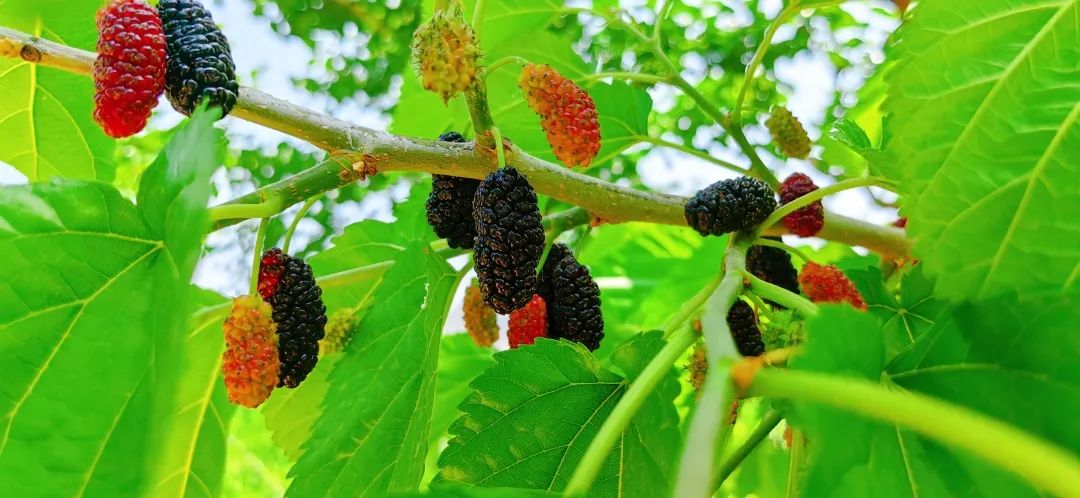 房山值得去玩的地方,房山周末适合去哪里玩