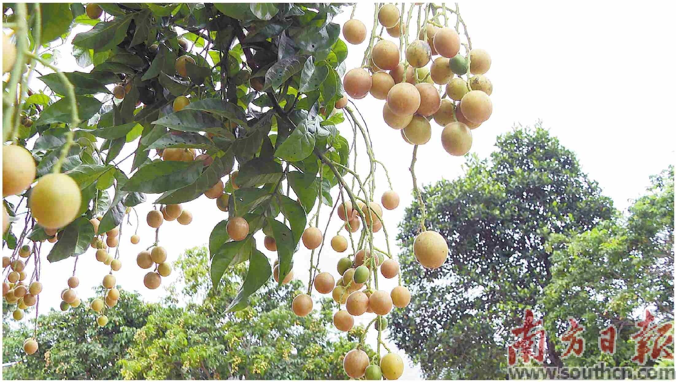 <html>
<head><title>502BadGateway</title></head>
<body>
<center><h1>502BadGateway</h1></center>
<hr><center>nginx</center>
</body>
</html>
<!--apaddingtodisableMSIEandChromefriendlyerrorpage-->
<!--apaddingtodisableMSIEandChromefriendlyerrorpage-->
<!--apaddingtodisableMSIEandChromefriendlyerrorpage-->
<!--apaddingtodisableMSIEandChromefriendlyerrorpage-->
<!--apaddingtodisableMSIEandChromefriendlyerrorpage-->
<!--apaddingtodisableMSIEandChromefriendlyerrorpage-->
