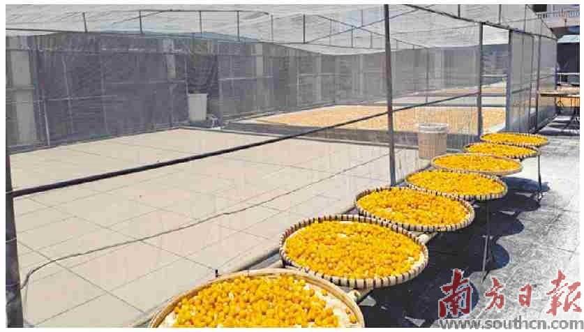 <html>
<head><title>502BadGateway</title></head>
<body>
<center><h1>502BadGateway</h1></center>
<hr><center>nginx</center>
</body>
</html>
<!--apaddingtodisableMSIEandChromefriendlyerrorpage-->
<!--apaddingtodisableMSIEandChromefriendlyerrorpage-->
<!--apaddingtodisableMSIEandChromefriendlyerrorpage-->
<!--apaddingtodisableMSIEandChromefriendlyerrorpage-->
<!--apaddingtodisableMSIEandChromefriendlyerrorpage-->
<!--apaddingtodisableMSIEandChromefriendlyerrorpage-->
