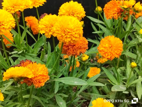 oppok11x一亿像素测评,oppok11x性能