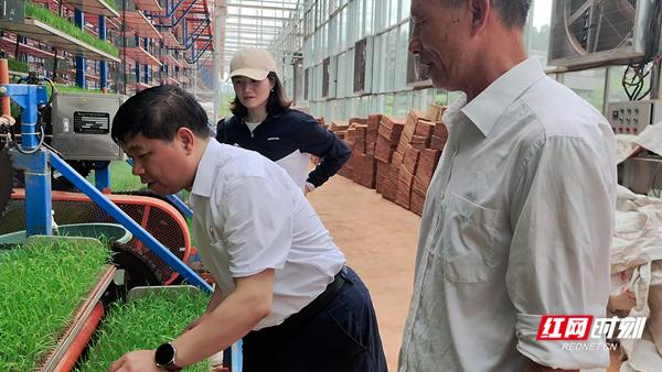 走转改·到田野去丨跻身农业产业强镇“国家队”，高沙镇*党**委书记这样干