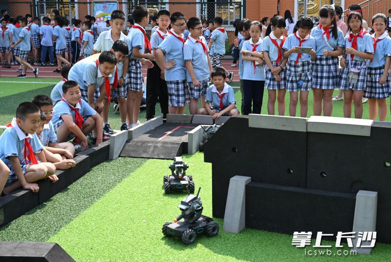 小学科技节比赛项目有哪些,科技节校园科学实验