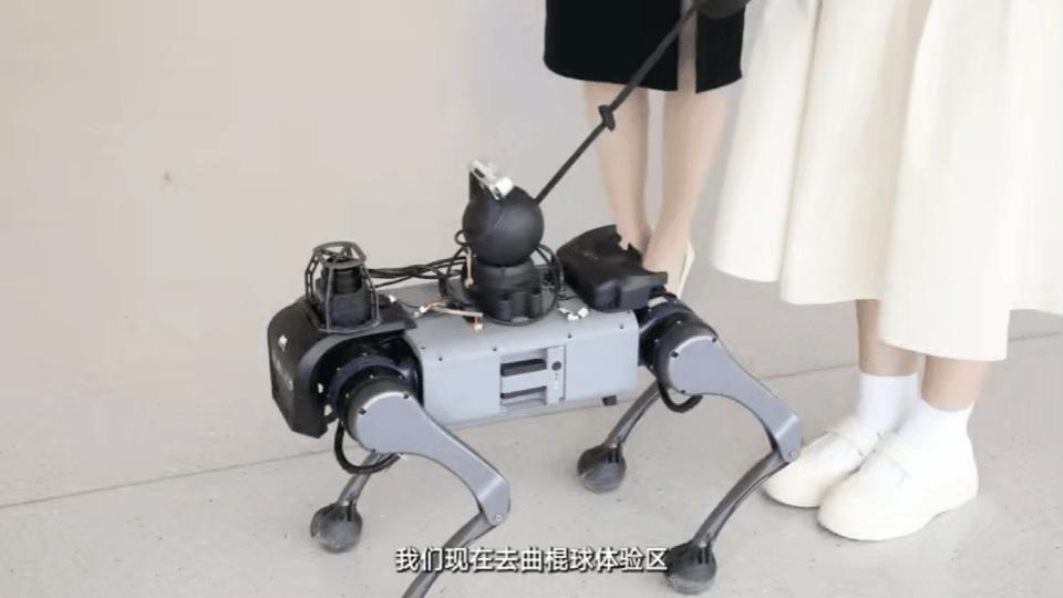 杩藉厜鐨勬満鍣ㄤ汉,杩借鏈哄櫒鐙椾簹杩愪細