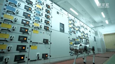 杩藉厜鐨勬満鍣ㄤ汉,杩借鏈哄櫒鐙椾簹杩愪細