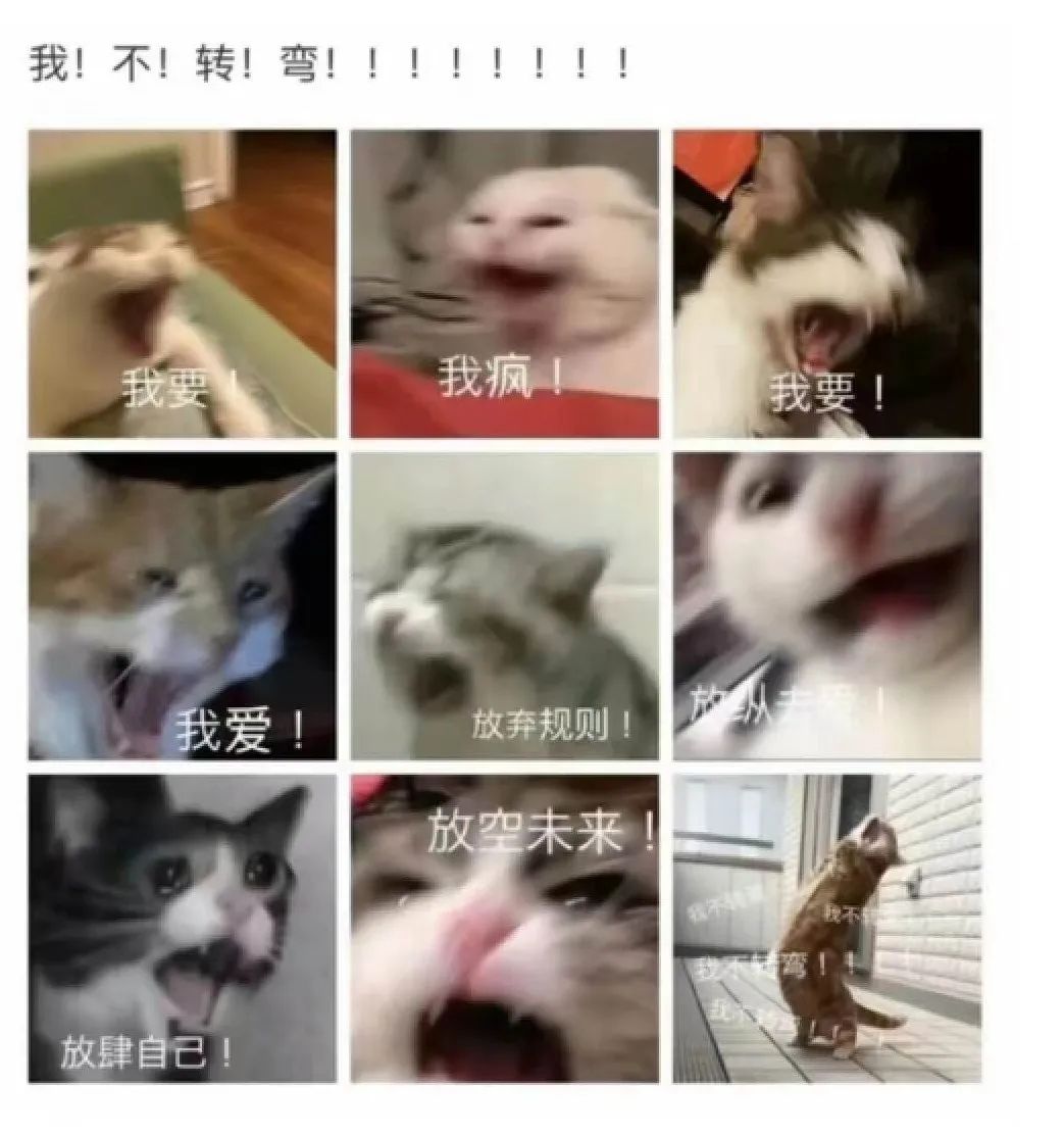 抢不到周杰伦的票就去看五月天,抢不到五一去玩的票