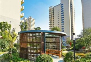 养老院黄昏恋,探访真实的养老院