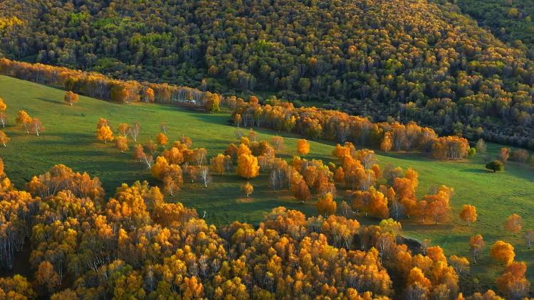 要闻内蒙古,瞰中国内蒙古多彩金秋