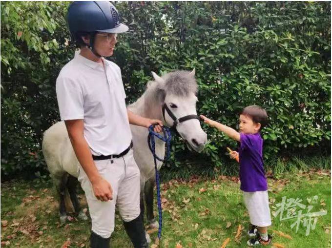 英式马术障碍赛儿童,马术儿童障碍赛