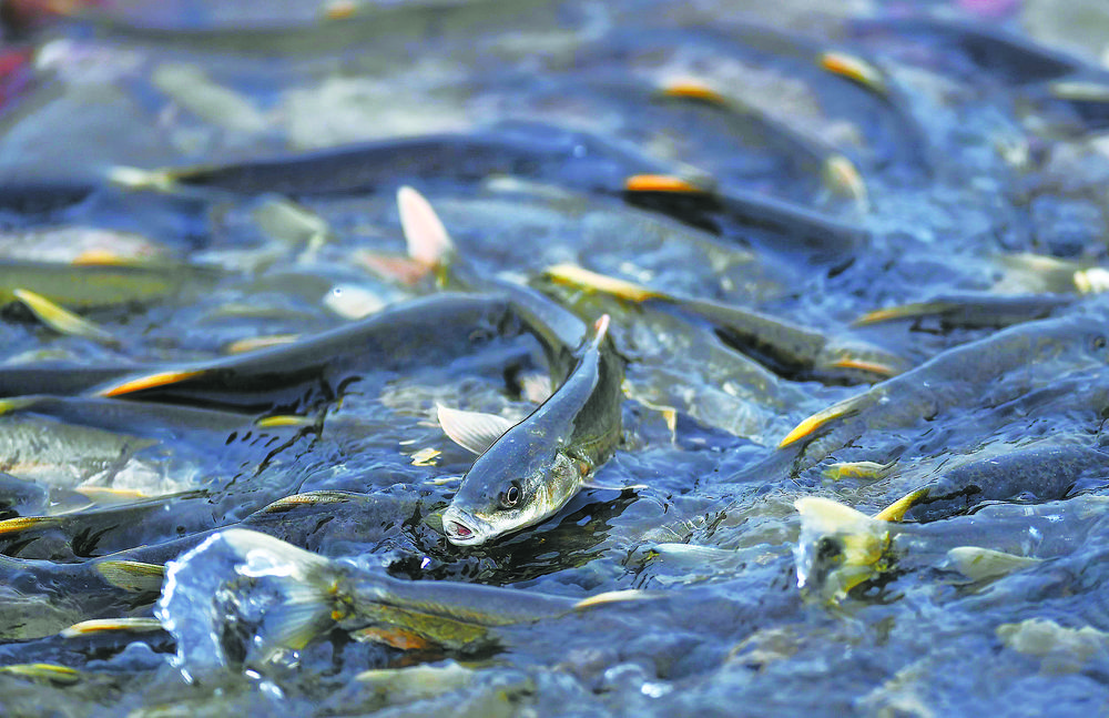 青海湖到西北大环线,青海湖向西沿途景点