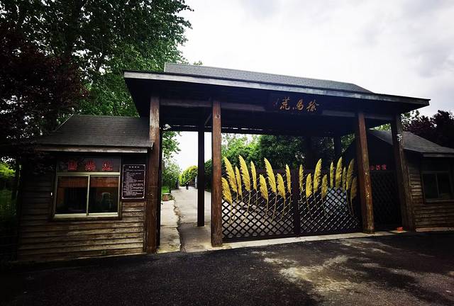 苏中自驾游‖这座城存下了我的一份醉心