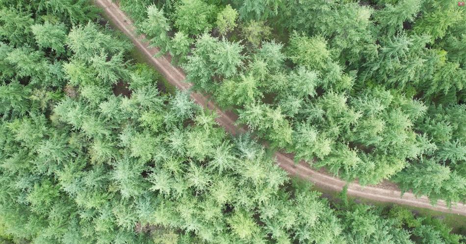 促进乡村特色产业高质量发展,清水县发展产业