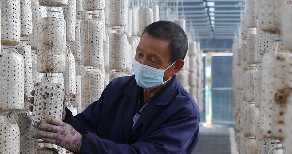 促进乡村特色产业高质量发展,清水县发展产业