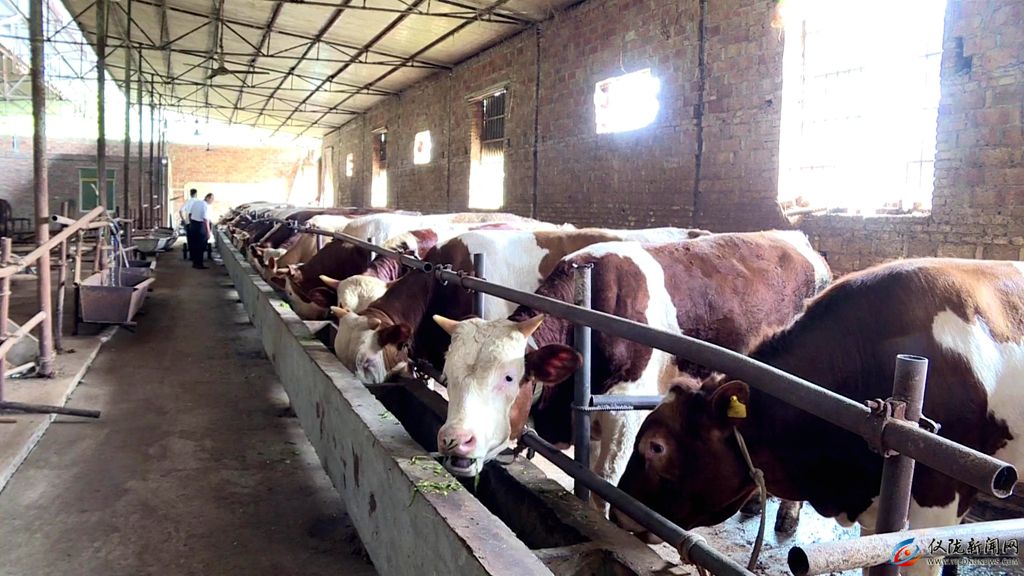 村村有特色产业户户有增收渠道,村有产业户户可增收吗