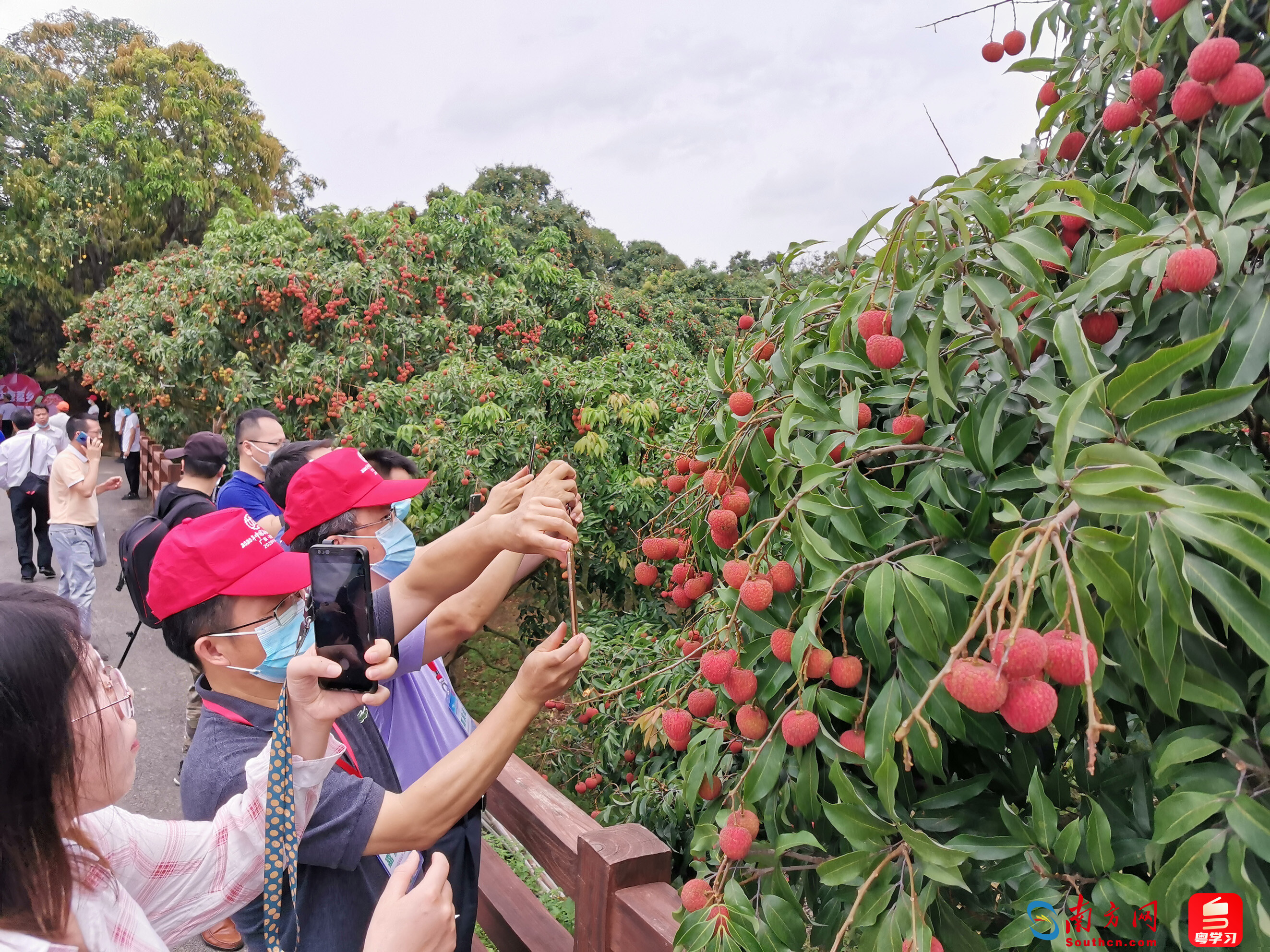 调研高质量发展步骤,高质量发展调研行贵州