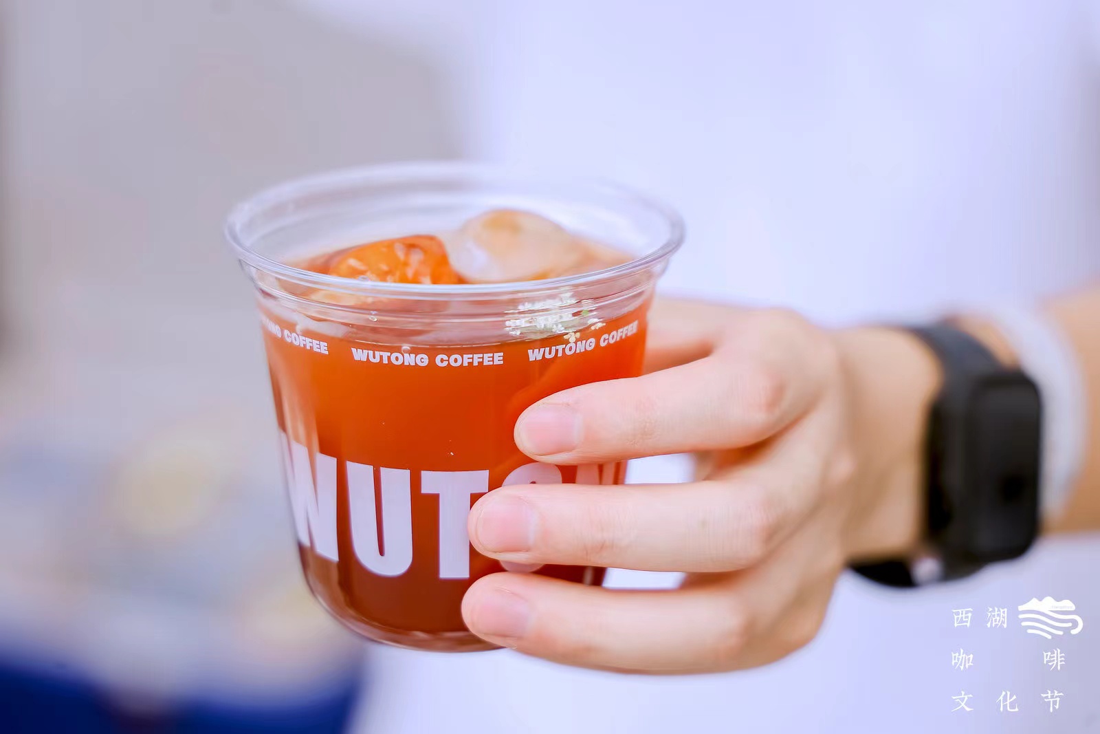 杭州最正宗的咖啡馆,杭城最美咖啡馆